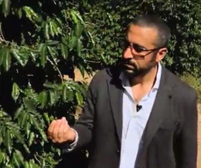 أحمد الشقيري يناقش «البُن» وتناقص إنتاج اليمن بعد أن كانت مصدراً رئيسياً لشعوب العالم (فيديو)