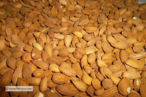 هل تعلم ان 7 حبات لوز يوميا افضل من الف علاج مضاد للسرطان ؟