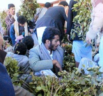 بعد خلاف مع مقوت طفل على أسعار القات، ثلاثيني يقتله، ووالد الطفل ينتقم في الحال، ليدعه يسبح في بركة من الدماء