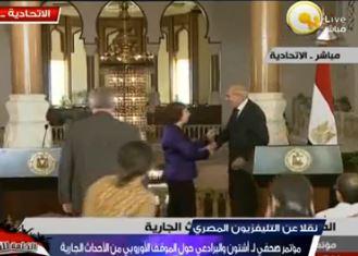 بالفيديو.. أسباب انسحاب آشتون من مؤتمر البرادعي