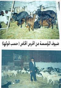 ملك الملح (غالب الخظاف) يدوب أمام المؤسسة الأقتصادية