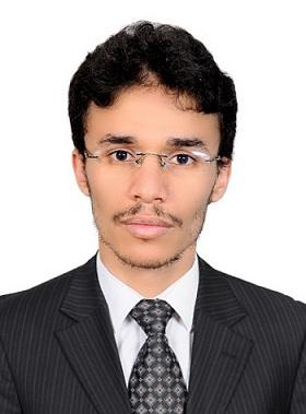 اللجان الرئاسية والبرلمانية ؛ عمياء تخضب لمجنونة!!