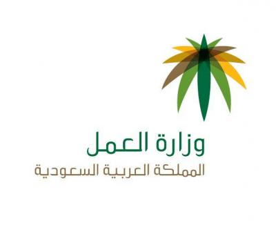  إطلاق التأشيرات الفورية وتنظيم عمل المرافقين والمرافقات وتبادل العمالة، واقتراح تخفيض  حد النطاق الأخضر والبلاتيني في "البناء والورش"