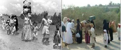 (بالصور) مقارنة بين جريمة تهجير السلفيين 2014م وتهجير الفلسطينيين 1948م (شعب الله المختار والحق الإلهي)