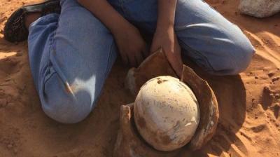 طفلة سعودية تحير عائلتها بعثورها على بيضة مغلفة بحجر