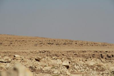 هدء حذر في أرحب: المتحدث الإعلامي ينفي الأخبار الملفقة لتقدم الحوثيين ويعتبرها تغطية على هزيمتهم