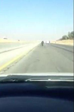 بالفيديو.. جنون الشباب بالسعودية: سائق يقود دراجتة بسرعة 200 كم بالساعة