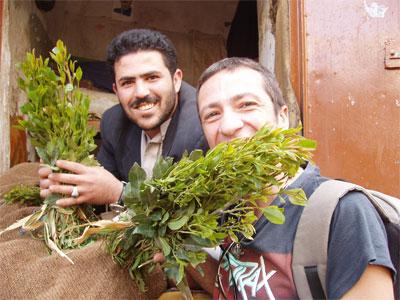 وزير الداخلية السعودي يوجِّه بإطلاق سراح سجناء «القات» 