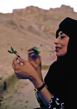  جلسات القات النسائية : أسرار السياسة وفضائح الجنس 