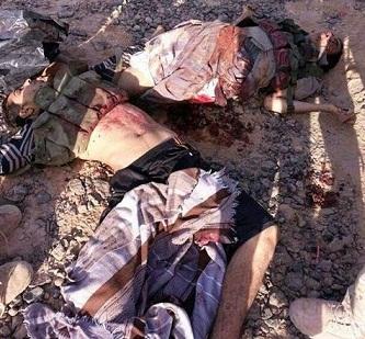 بالصور ..قتلى القاعدة من صغار السن،  والجيش يلقي القبض على 5 من قادة التنظيم 