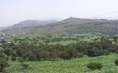 برغم الأوامر القهرية وتوجيهات النيابة العامة مدير أمن السياني يماطل في القبض على المطلوبين بالتقطع والقتل ، وأولياء الدم يطالبون بإقالته فورا..