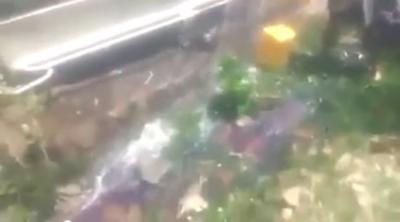 بالفيديو: البترول في اليمن يفيض في السائلة، والموطنون يفرحون، ويغرفونه من وسطها