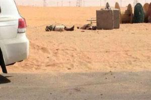 تهريب السعوديات إلى اليمن .. زواج وقتال في «قاعدة الهلاك»