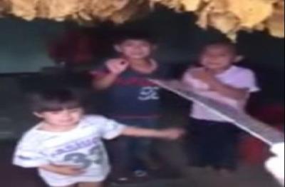 فيديو: لبناني شيعي يهدد أطفال سوريين بالذبح