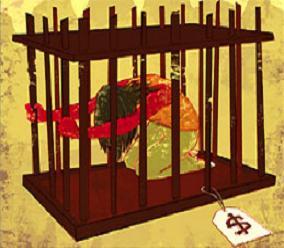 هل يمكن للتغييرات القانونية ان توقف الاتجار بالبشر في اليمن؟