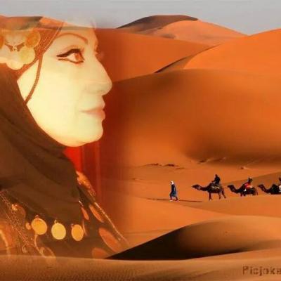 إعلامية يمنية تنشر التشكيلة الحكومة الجديدة المقترحة (التشكيلة)