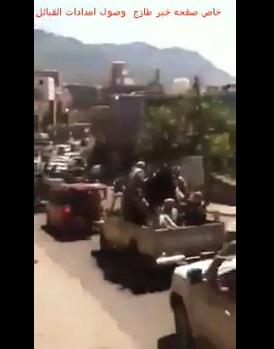 فيديو: حشود قبيلة كبيرة تتوافد إلى مدينة إب (وهتافات بخروج الحوثي)