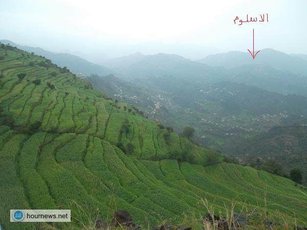 مسلحو الحوثي يطردون القاعدة من الحزم، ويحاصرونهم في معاقلهم، ومقتل وإصابة اكثر من 30 من الطرفين