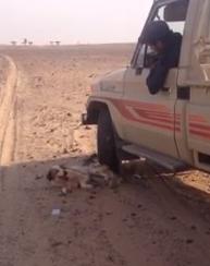 بالفيديو..شاب سعودي يدهس كلب بسيارة "جيب شاص" حتى الموت بلا رحمة