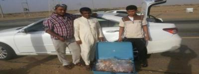 ضبط يمنيين بحوزتهم "16" كيلو من الذهب بمكة (صورة)