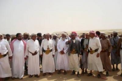 قبائل شبوة يدعون الى صلح قبلي يتفق مع الجميع صداً للعدوان‎