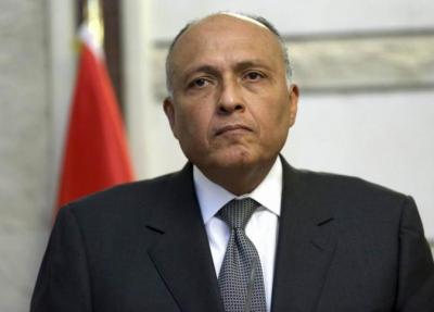 ماذا يعني فشل مصر في الحصول على قرار بتدخل عسكري دولي في ليبيا؟