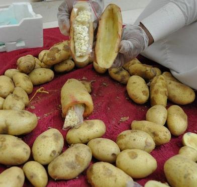 شاهد بالصور .. المخدرات تهرب بالبطاطا في السعودية