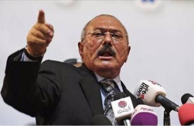  علي عبدالله صالح لصحيفة مصرية: لن نقاتل مصر والسعودية 