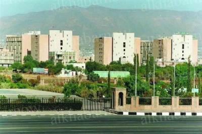الحوثيون ينحرون إبل دار الرئاسة للتخلص من أعبائها المالية