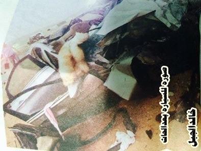 جمل سائب يتسبب بحادث مروري مروع في السعودية نتج عنه مقتل 7 وإصابة 7 آخرين بينهم يمنيين