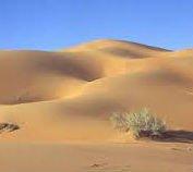 العثور على يمني وسعودي ماتا عطشاً في الصحراء بمحافظة السليل السعودية