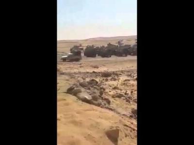 شاهد فيديو استعدادات قوات التحالف في مأرب وآليات التحالف منتشرة كالجراد