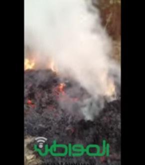 بالفيديو.. سعودي يحرق هنديا في مزرعته لأنه رجل صالح