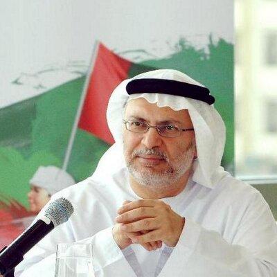أول رد "عنيف" لمسؤول إماراتي على مقابلة الرئيس السابق " صالح " مع قناة الميادين (شاهد بماذا وصفه)