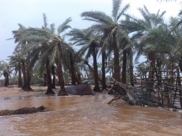 سقطرى: 10 قتلى وتضرر 143 منزل حصيلة اعصار ميج بالجزيرة