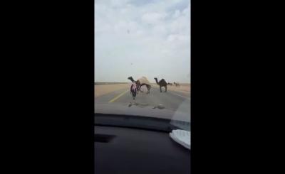 السعودية: فيديو.. مالك إبل يُشهر سلاحه الرشاش بوجه مواطنين ويجبرهم على الوقوف،لأجل مرور إبله بسلام