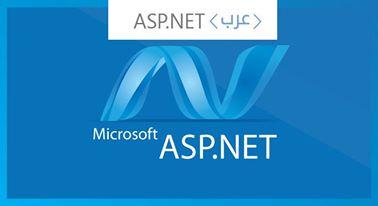 شباب عرب يدشنون موقع arabasp.net 