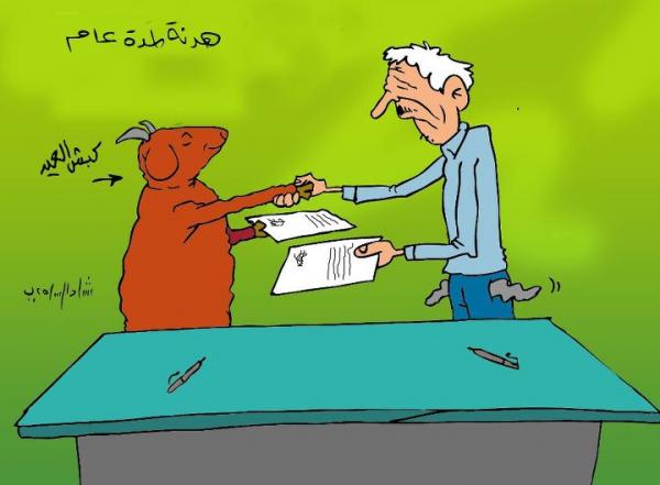 كاركاتير هدنة لمدة عـــــــــــــــــام