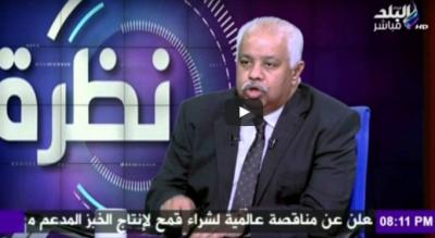 وزير الخارجية المصري يوضح حقيقة مشاركة قوات برية مصرية في العمليات العسكرية التي تقودها السعودية باليمن