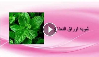 وصفة سحرية لإزالة البطن في أسبوع ( مجربة ) - فيديو