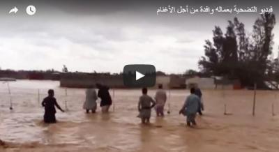 بالفيديو.. سعودي يضحي بعماله من أجل إنقاذ أغنامه من السيول