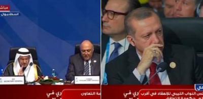 فيديو: وزير الخارجية المصري يتجاهل مصافحة أردوغان خلال تسليم تركيا رئاسة القمة الإسلامية