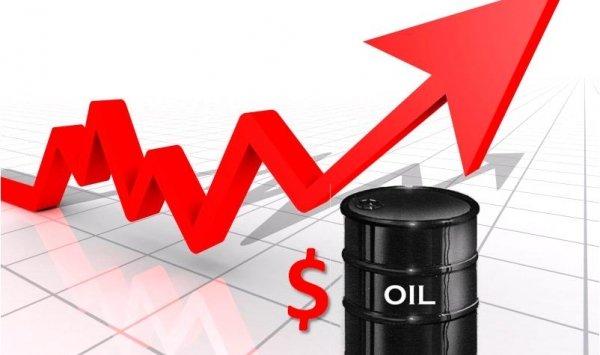 وزير النفط الفنزويلي: سعر النفط سيصل 150 دولارا للبرميل