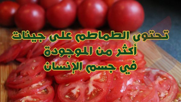 بالصور.. 10 معلومات غريبة لا تعرفها عن الفواكه بالصور.. 10 معلومات غريبة لا تعرفها عن الفواكه