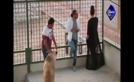 أسد ينهش فنانة خليجية - فيديو