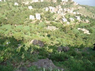 اصابة القحفه برصاص عصابة مسلحة على طريق حبيش بمحافظة إب