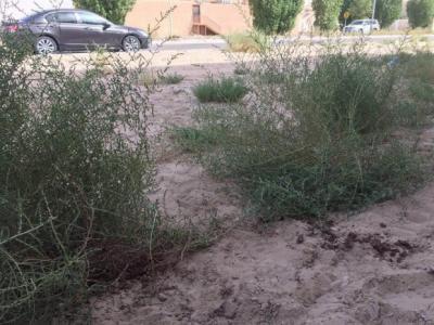 شاهد عيان يروي تفاصل ذبح طفلة على يد زوجة ابيها.. (صور: مسرح الجريمة)