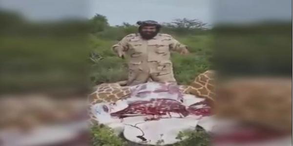 شاهد.. قصة السعودي الذي ذبح لضيوفه زرافة