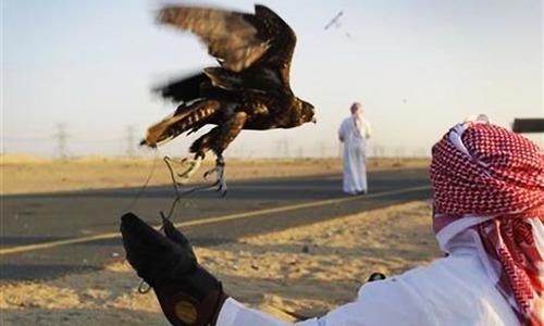 بي بي سي تكشف تفاصيل إطلاق نار على امراء إماراتيين من الأسرة الحاكمة بباكستان