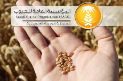 مسؤول سعودي يكشف حقيقة جرعة جديدة ورفع الدعم عن الحبوب
